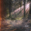 Cover Running In A Dream