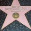 Cover Best Of (Sings America)