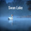 Cover Swan Lake