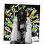 Cover Cover Capsule I