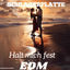 Cover Halt mich fest (EDM Special Version)