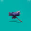 Cover No Sides