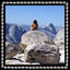 Cover Marching Band / Tioga Pass