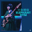 Cover Elephant Gym (Audiotree Live)