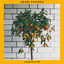 Cover Weightless - EP