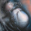 Cover Smother Me
