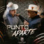 Cover Punto y Aparte