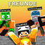 Cover Freunde