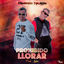 Cover Prohibido Llorar