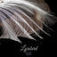 Cover Lyrebird