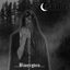 Cover Over Bjoergvin Graater Himmerik