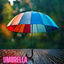 Cover Umbrella
