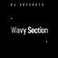 Cover Wavy Section
