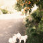 Cover HELLO WORLD