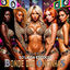 Cover Bonde das Oncinhas