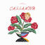 Cover CASSA NOVA