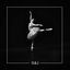 Cover Swan Lake (Techno Mix)