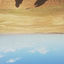 Cover Cold Desert