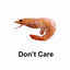 Cover Don't Care