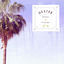 Cover Palmen & Freunde