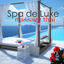 Cover Spa de Luxe & Massage Thaï – 50 nuances orientales pour massage détente, relax et luxe dans centres de bien-être