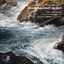 Cover Schubert: "Trout Quintet", Op. 114 D 667