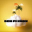 Cover Dem Fi Know