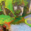 Cover Rainforest (Deluxe Edition)