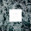 Cover Between Lines