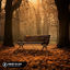 Cover Someone You Loved