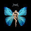Cover Finda