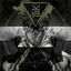 Cover The Acausal Mass