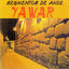 Cover Segmentos de Ande
