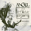 Cover ANGEL
