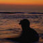 Cover casifebrero