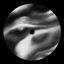 Cover Eyes