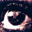 Cover Blood