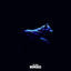 Cover The Chase (Remixes)