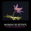 Cover Musique de détente pour la méditation (Sons d'instruments tibétains, Mantras de méditation, Thérapie de guérison reiki)