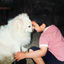 Cover A Mixtape by Anish Kumar