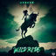 Cover Wild Ride