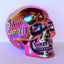 Cover Skull Candy