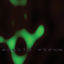 Cover Eros In The Bunker