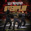 Cover Steuplai