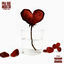 Cover Pra Que Insistir