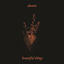 Cover Beautiful Things