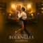 Cover Mr. Bojangles