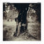 Cover ANEMOIA