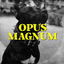 Cover Opus Magnum