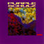 Cover Purple Schulz